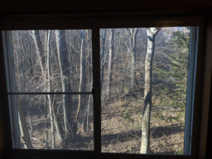 和室の窓からの画像