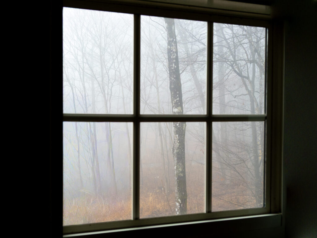 窓辺から見る秋の森の写真