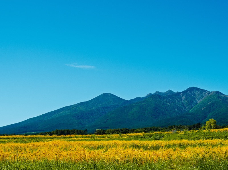 八ヶ岳風景写真作例の画像